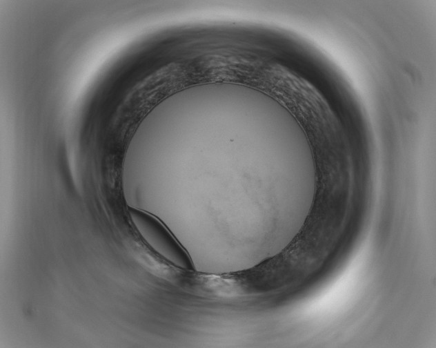 X0000110900239200907021544
