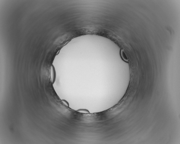 X0000110900240200907021544