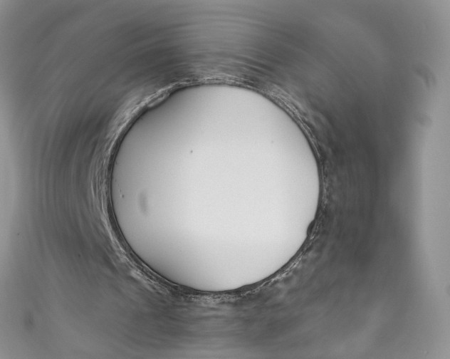 X0000110900241200907021543