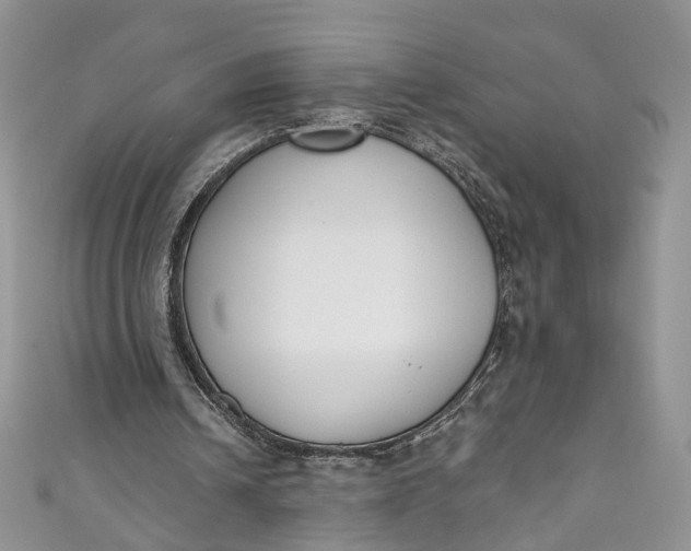 X0000110900242200907021543