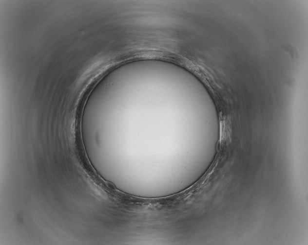 X0000110900243200907021543