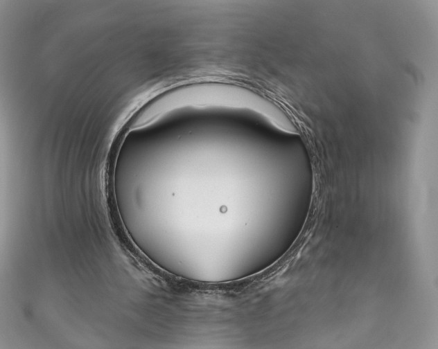 X0000110900244200907021543