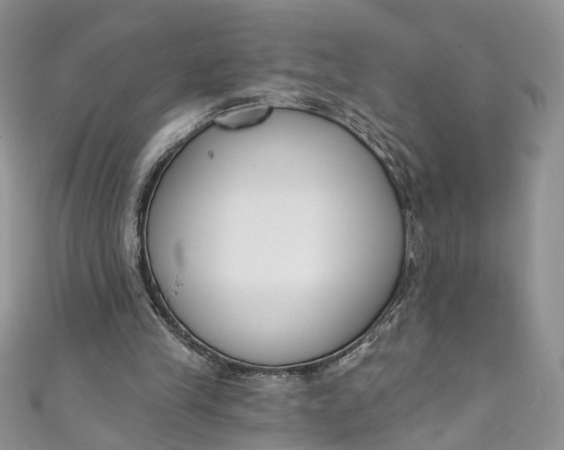 X0000110900245200907021543