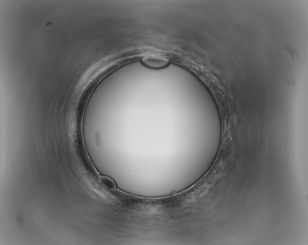 X0000110900247200907021543