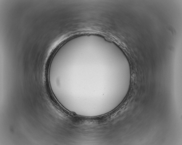 X0000110900248200907021543