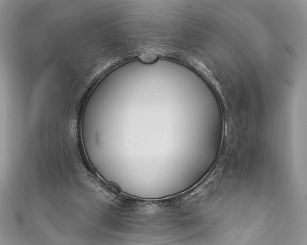X0000110900249200907021543