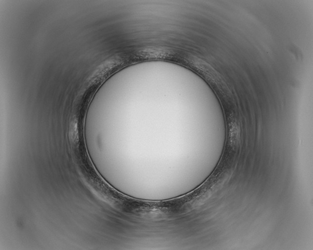 X0000110900254200907021543