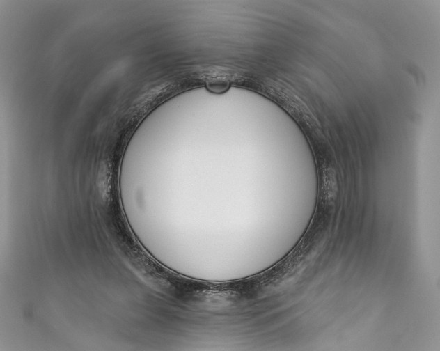 X0000110900255200907021543