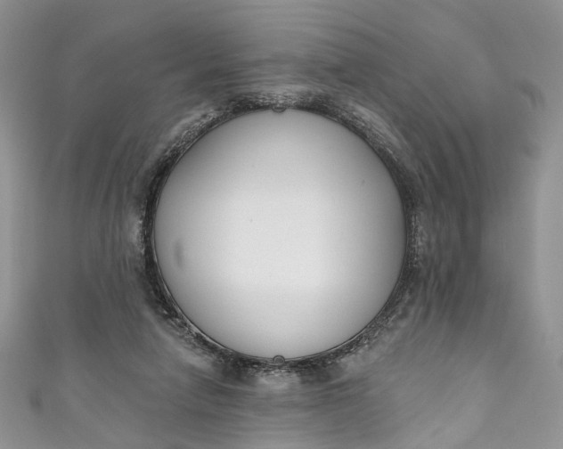 X0000110900258200907021543