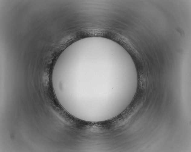 X0000110900259200907021543