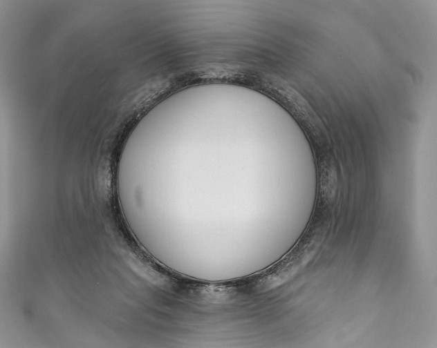 X0000110900261200907021543