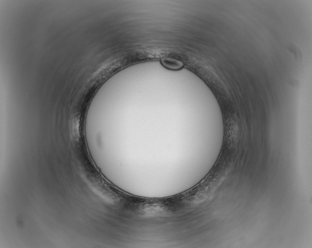 X0000110900262200907021543