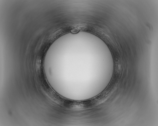 X0000110900263200907021543