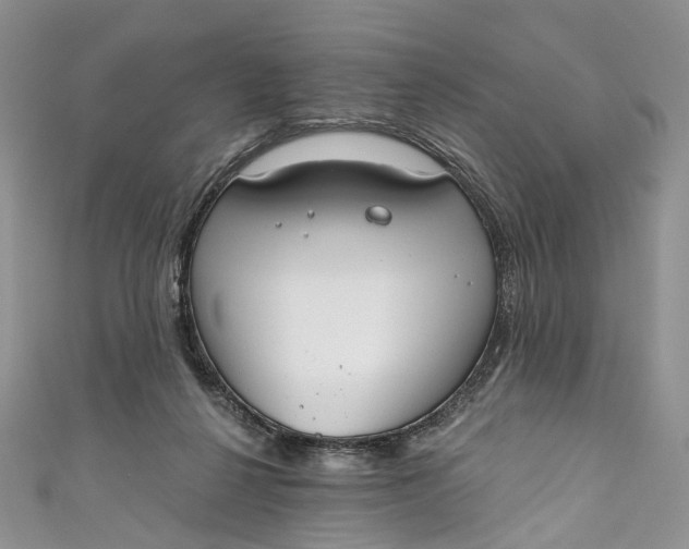 X0000110900264200907021543