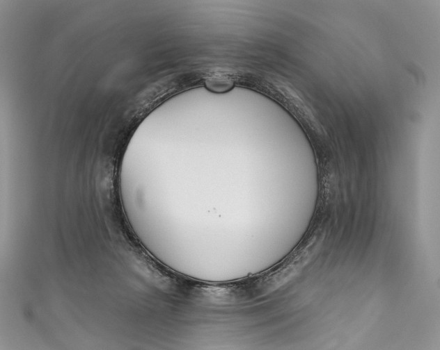 X0000110900265200907021543