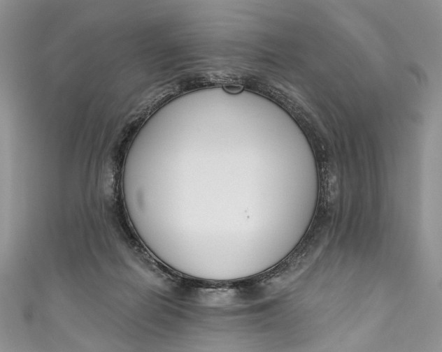 X0000110900266200907021543