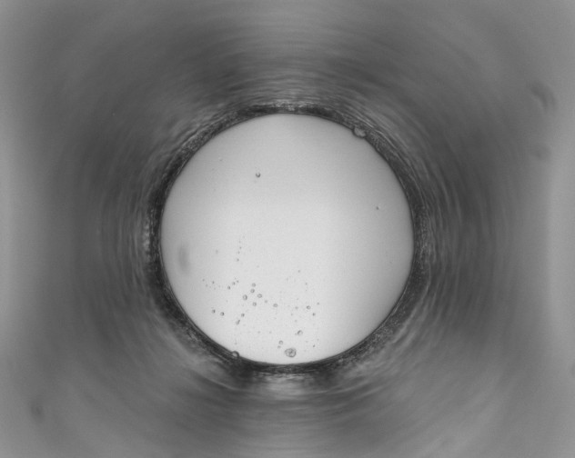 X0000110900268200907021543
