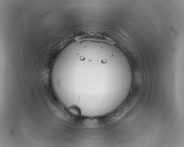 X0000110900271200907021544