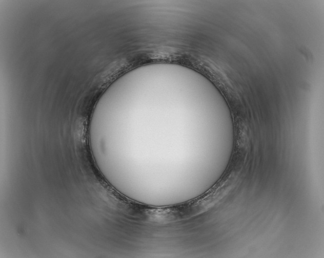 X0000110900273200907021544