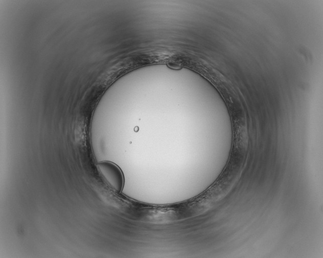 X0000110900274200907021544