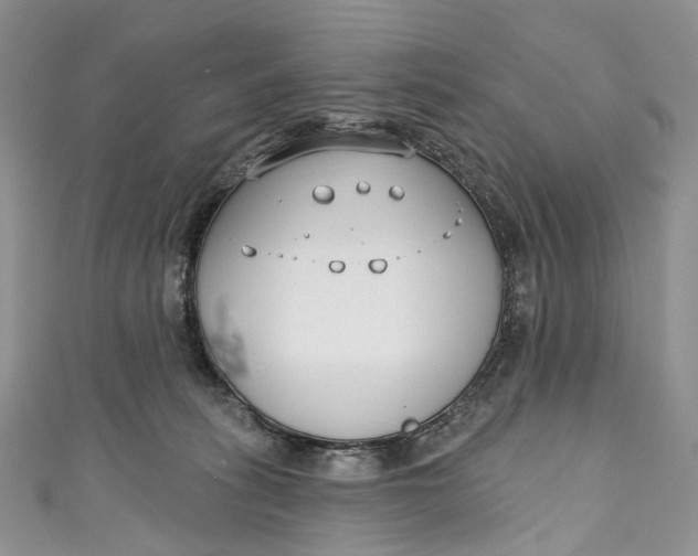 X0000110900275200907021544