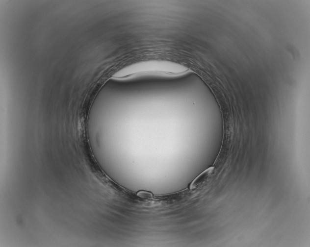 X0000110900276200907021544