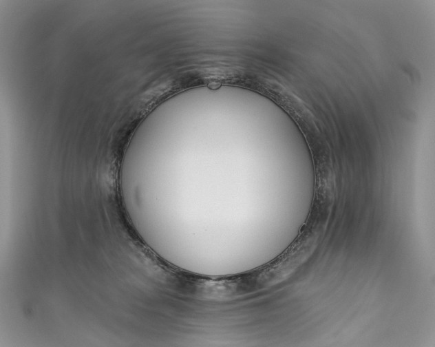 X0000110900277200907021544