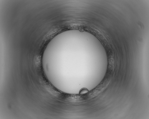 X0000110900278200907021544