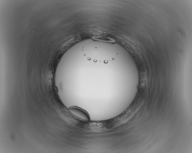 X0000110900279200907021544