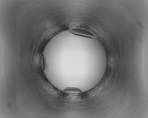 X0000110900280200907021544