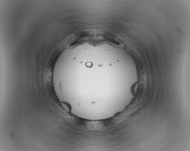 X0000110900281200907021544