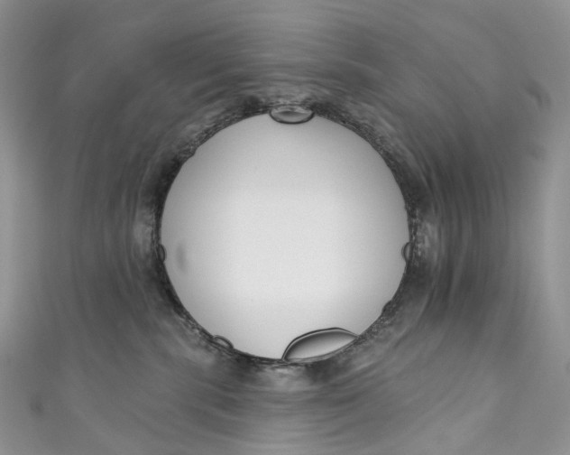 X0000110900283200907021544