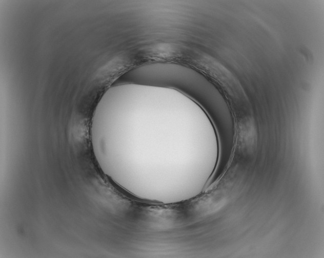 X0000110900284200907021544