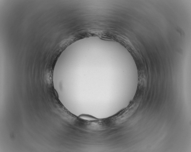 X0000110900285200907021544
