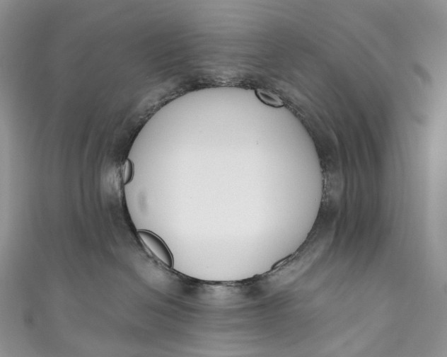 X0000110900286200907021544