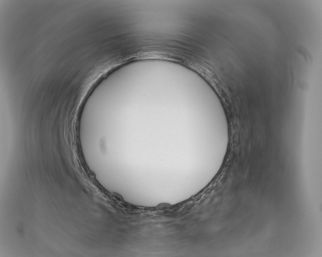 X0000110900289200907021543