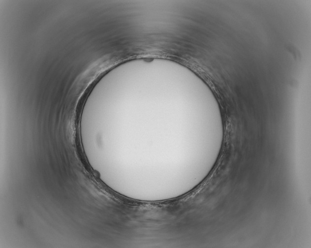 X0000110900290200907021543