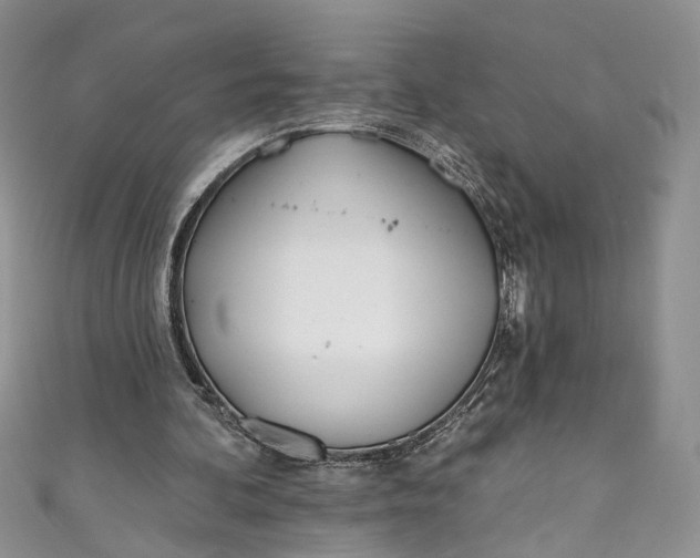 X0000110900292200907021543