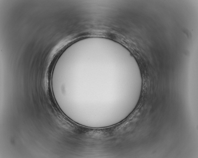 X0000110900294200907021543