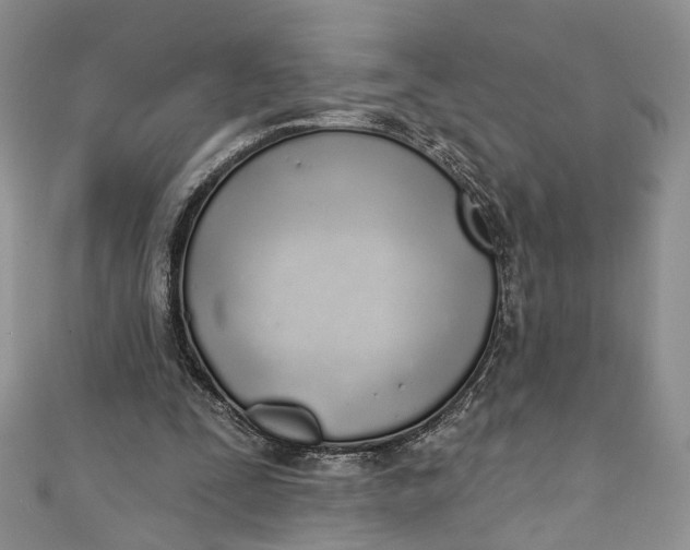 X0000110900295200907021543