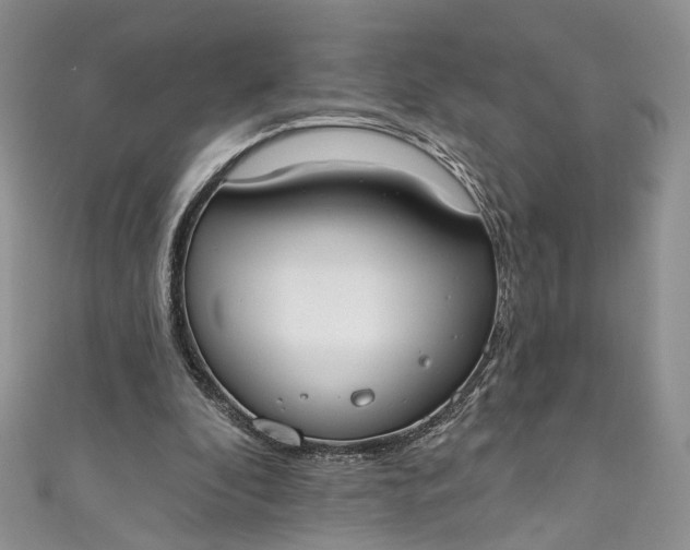 X0000110900296200907021543