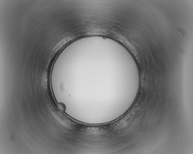X0000110900298200907021543