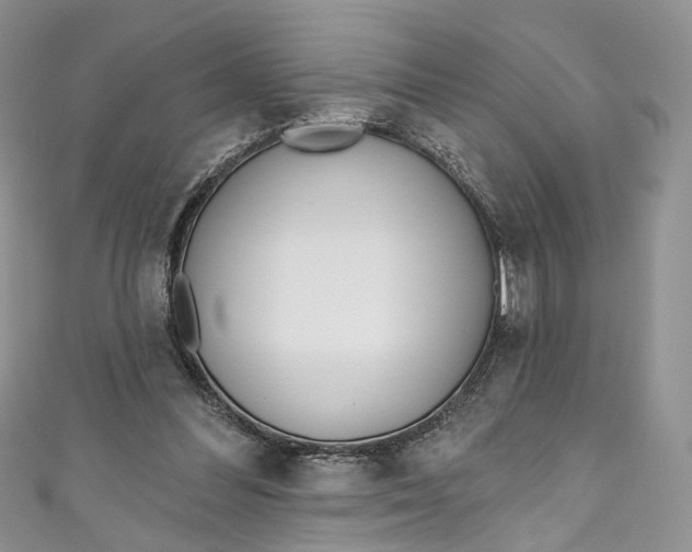 X0000110900300200907021543