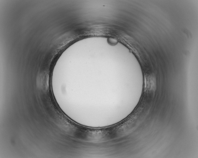 X0000110900301200907021543