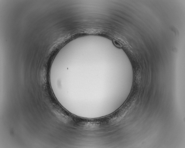 X0000110900303200907021543