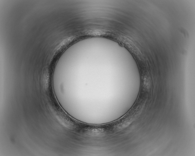 X0000110900304200907021543