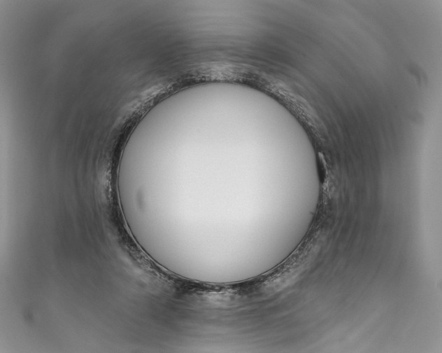 X0000110900306200907021543