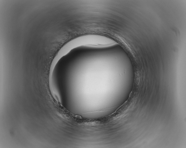 X0000110900307200907021543