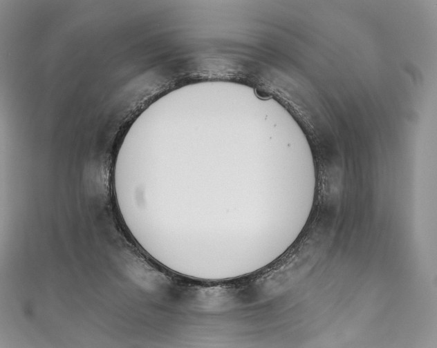 X0000110900309200907021543