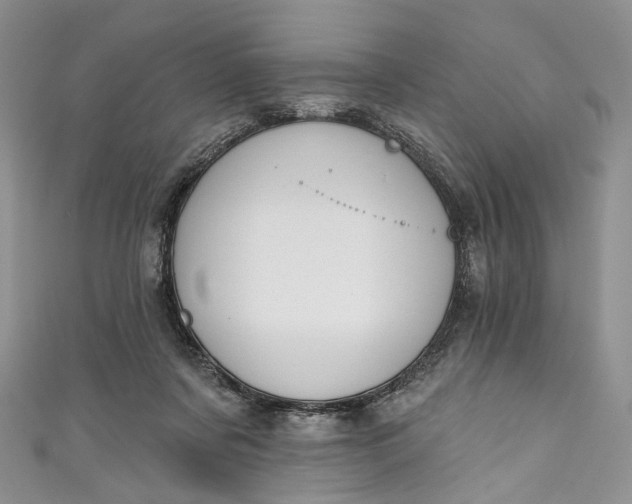 X0000110900311200907021543